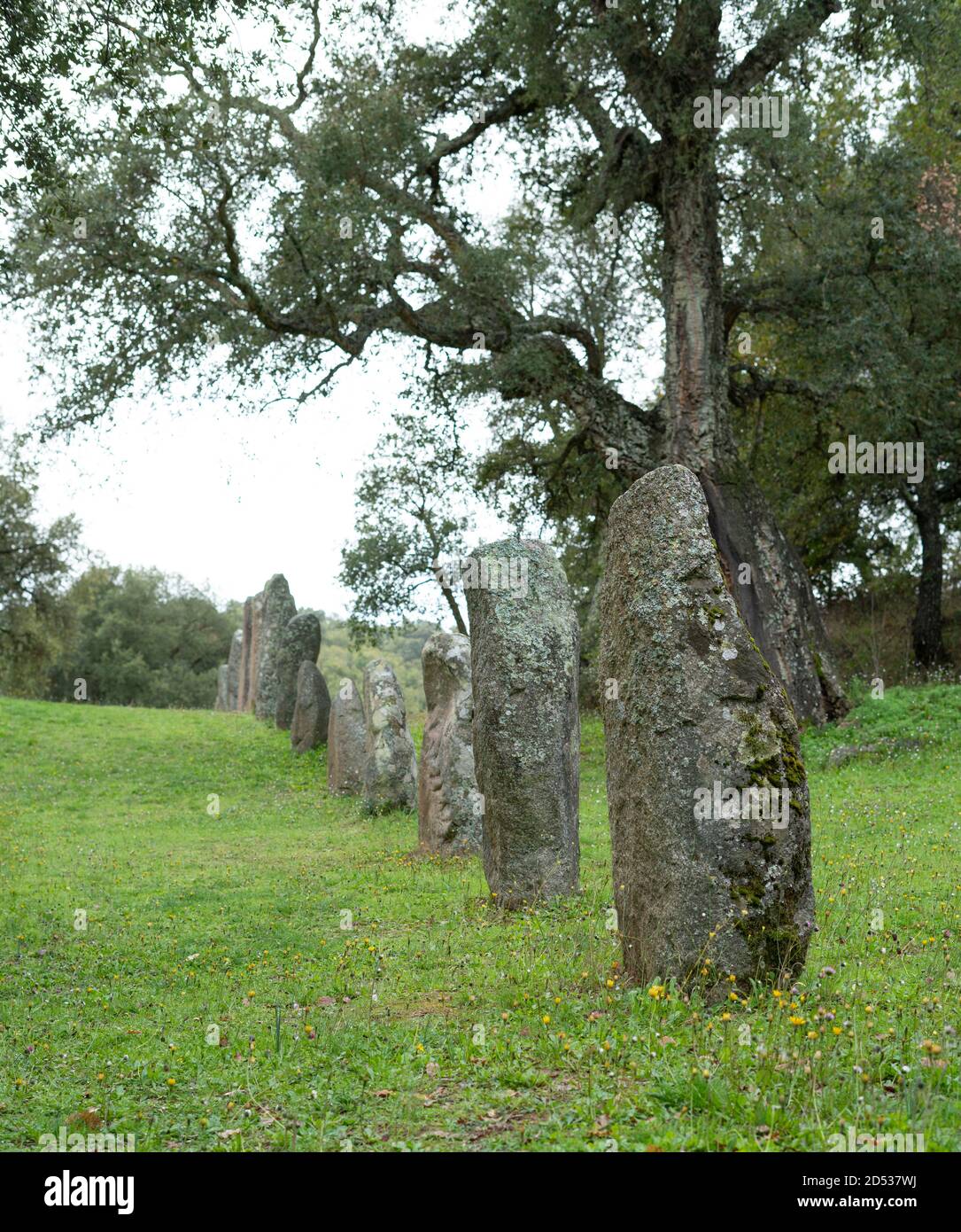 menhir sarde -Biru 'e concas Sorgono Banque D'Images