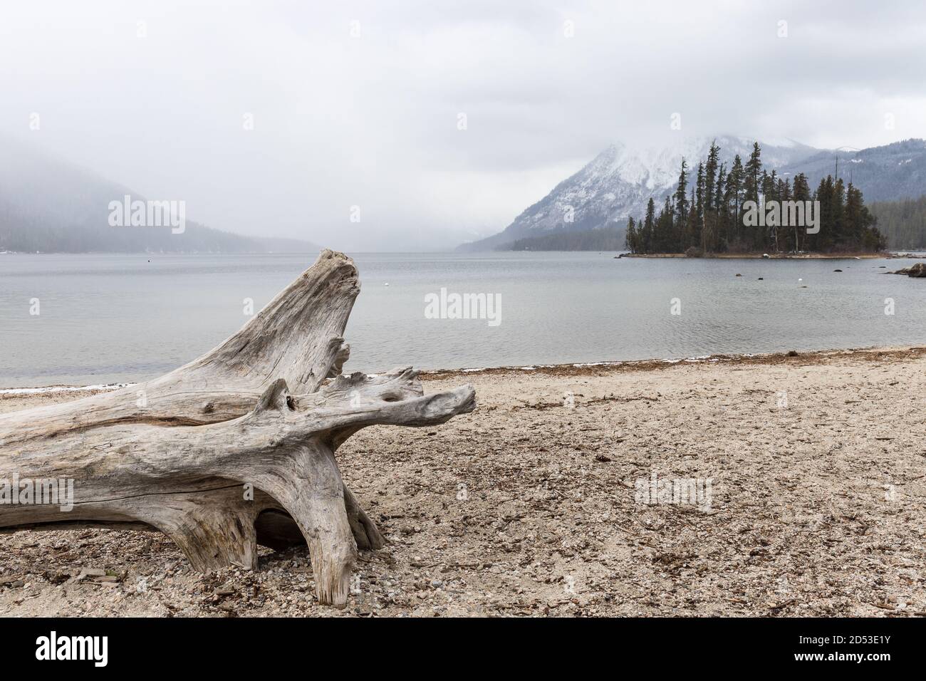 Rive du lac Mountain avec tronc d'arbre en hiver Banque D'Images