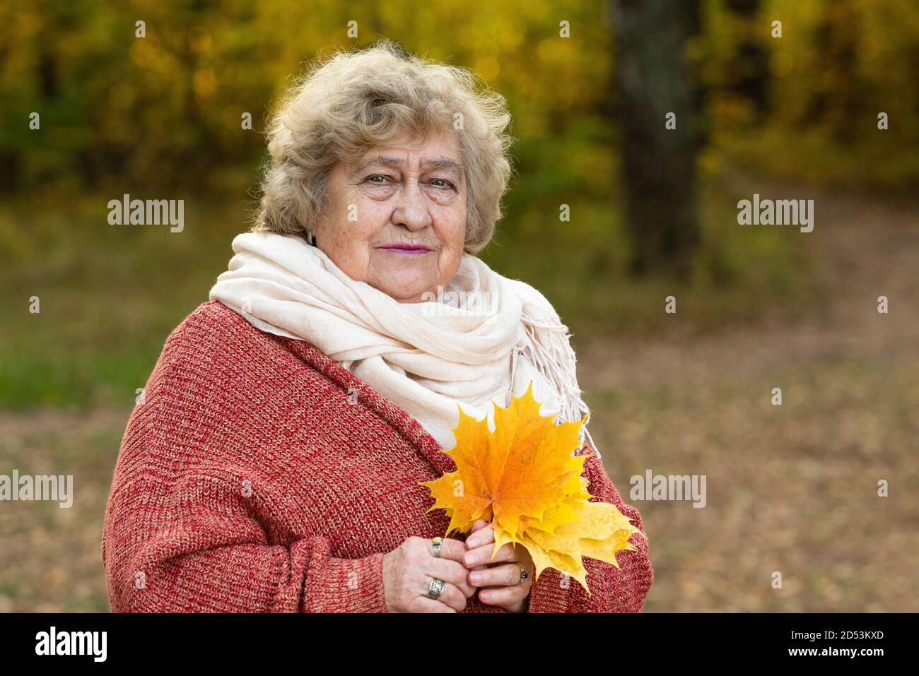 Portrait d'une vieille femme solitaire dans le parc à l'automne. Processus de vieillissement, humeur réfléchie, mélancolie, tristesse. Banque D'Images