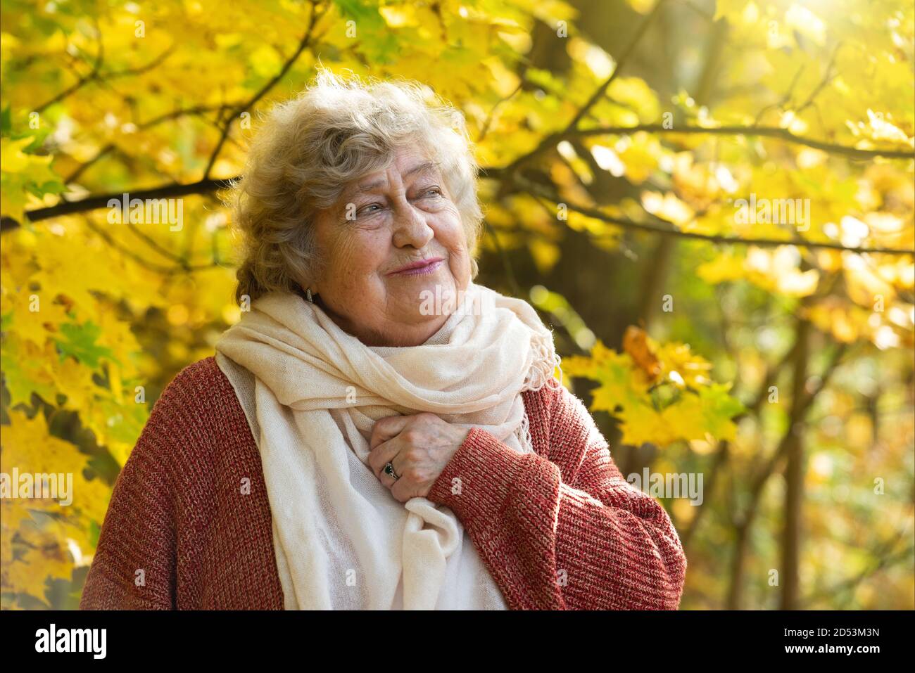 Heureuse femme âgée de 80 ans souriante dans un parc d'automne Banque D'Images