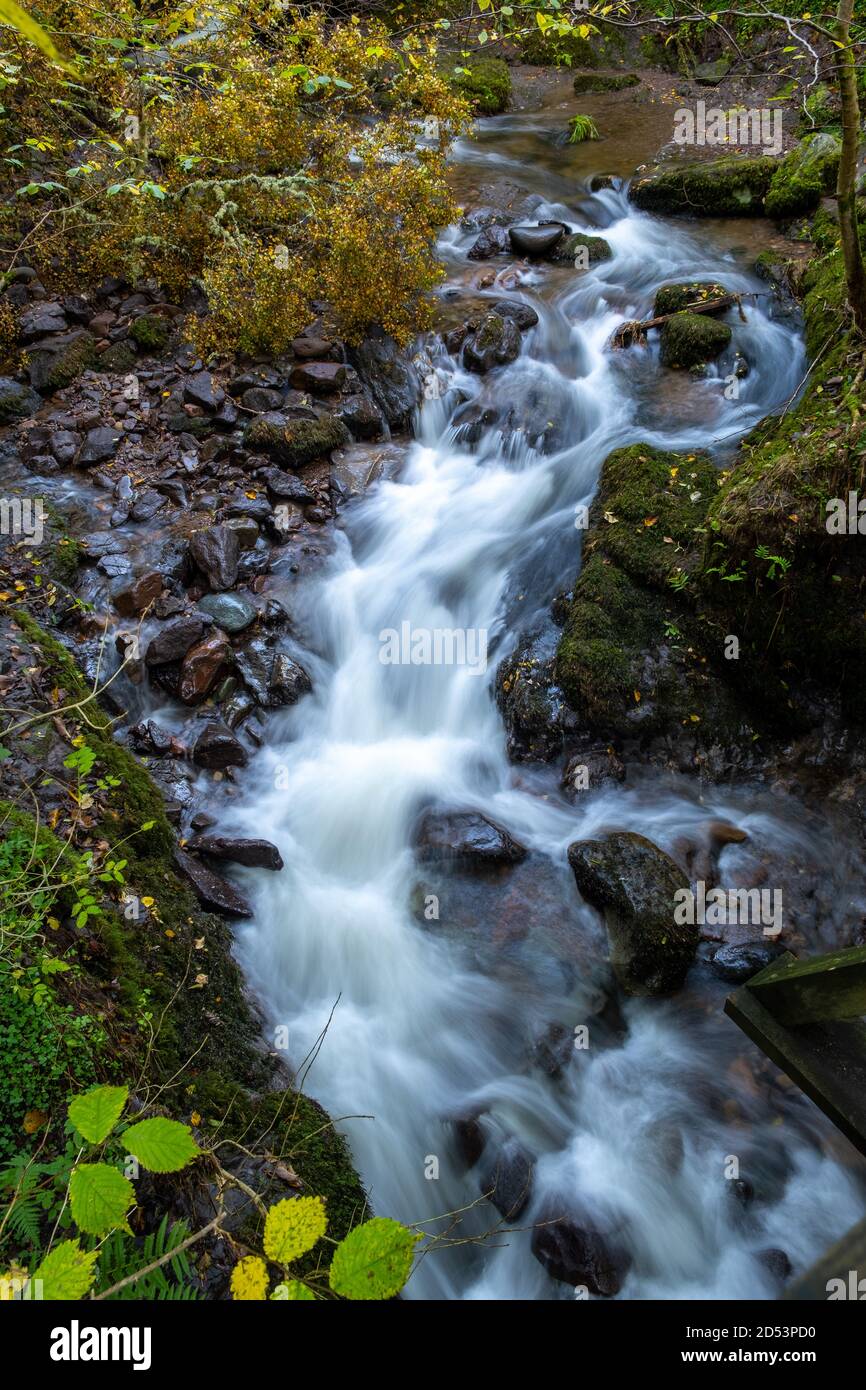 Dollar Burn, Dollar Glen, Écosse, Royaume-Uni Banque D'Images