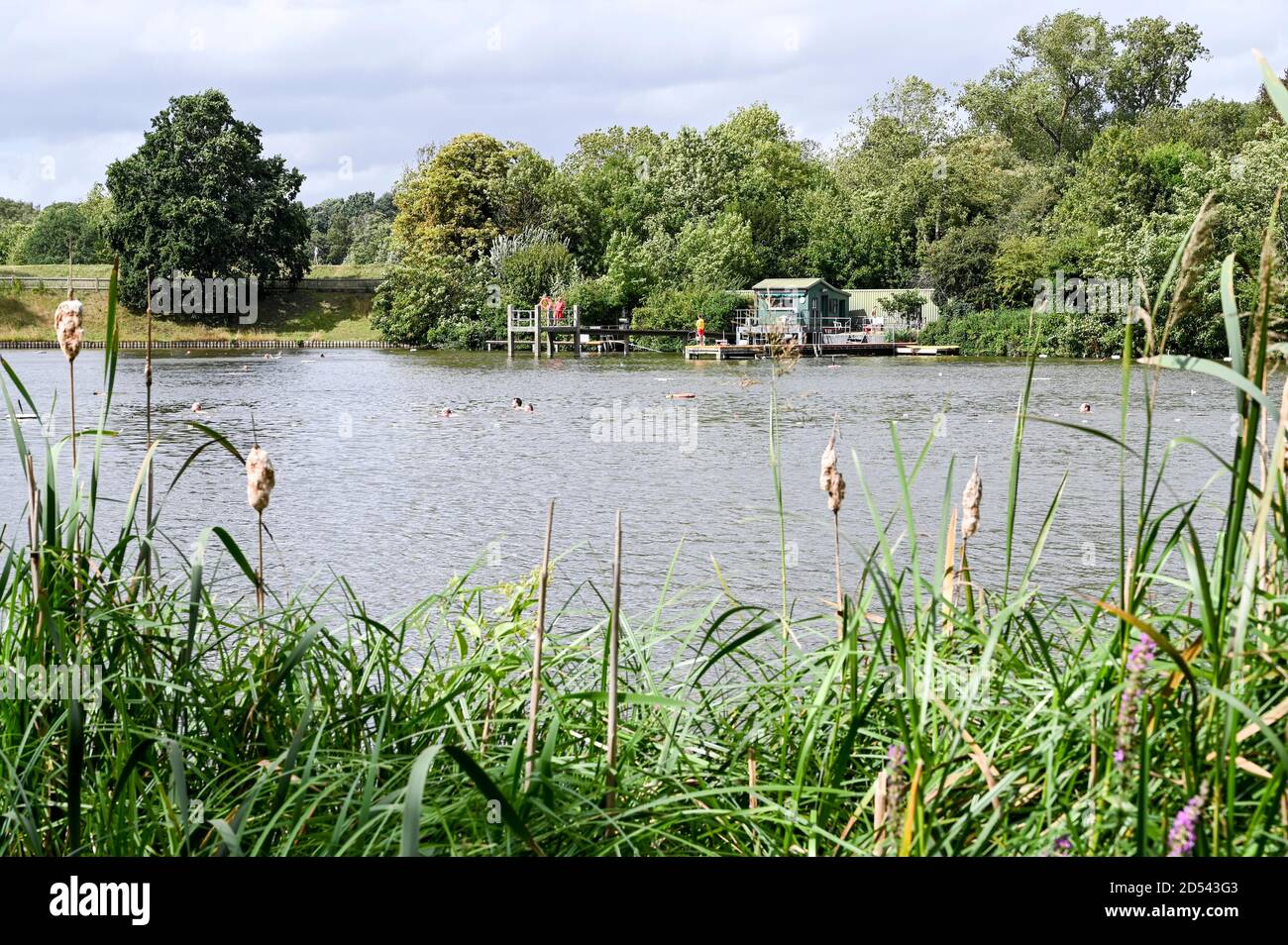 Hommes nageant dans le 'Mens Pond', Hampstead Heath, highgate, Londres, Royaume-Uni. Banque D'Images