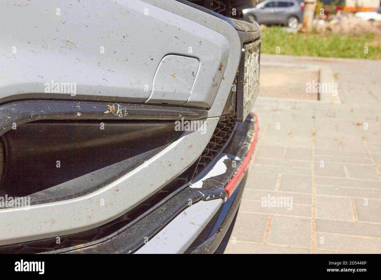 insectes sur la voiture sur la peinture du bouclier. Banque D'Images