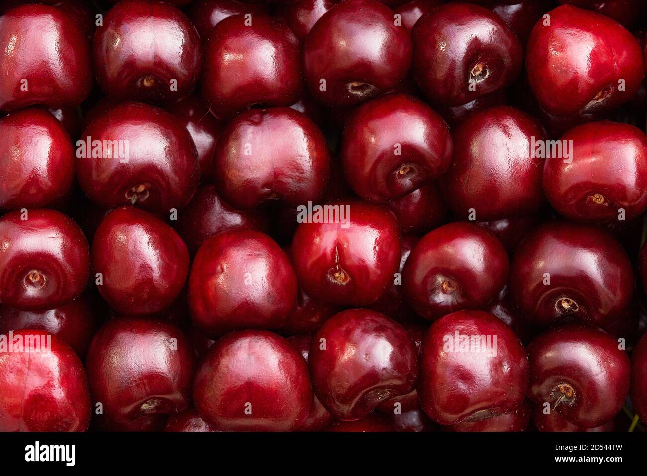 cerisier mûr doux viburnum fond de cerisier. Banque D'Images