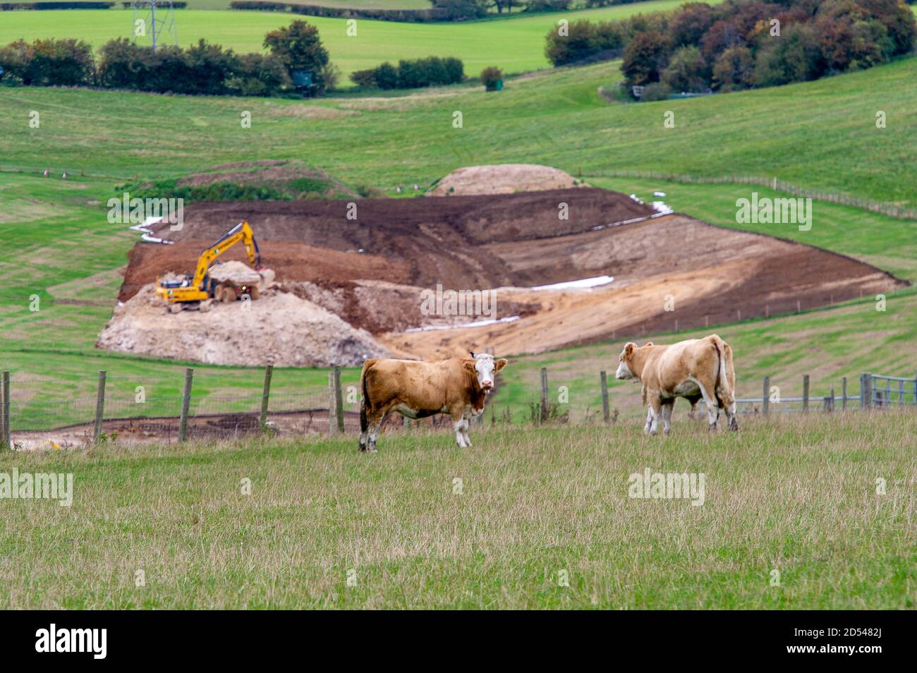 Chalfont St Giles, Buckinghamshire, Royaume-Uni. 12 octobre 2020. La vie de ferme tente de se poursuivre normalement malgré HS2 faisant des travaux préparatoires pour la construction d'un puits de ventilation qui donnera accès au tunnel Chiltern de 10 miles de long une fois qu'il est coupé sous terre. Le train à grande vitesse HS2 de Londres à Birmingham est largement dépassé par le budget et les protestations contre lui se poursuivent le long de la ligne par les militants écologistes en raison de la destruction des terres boisées et des habitats fauniques. Crédit : Maureen McLean/Alay Banque D'Images