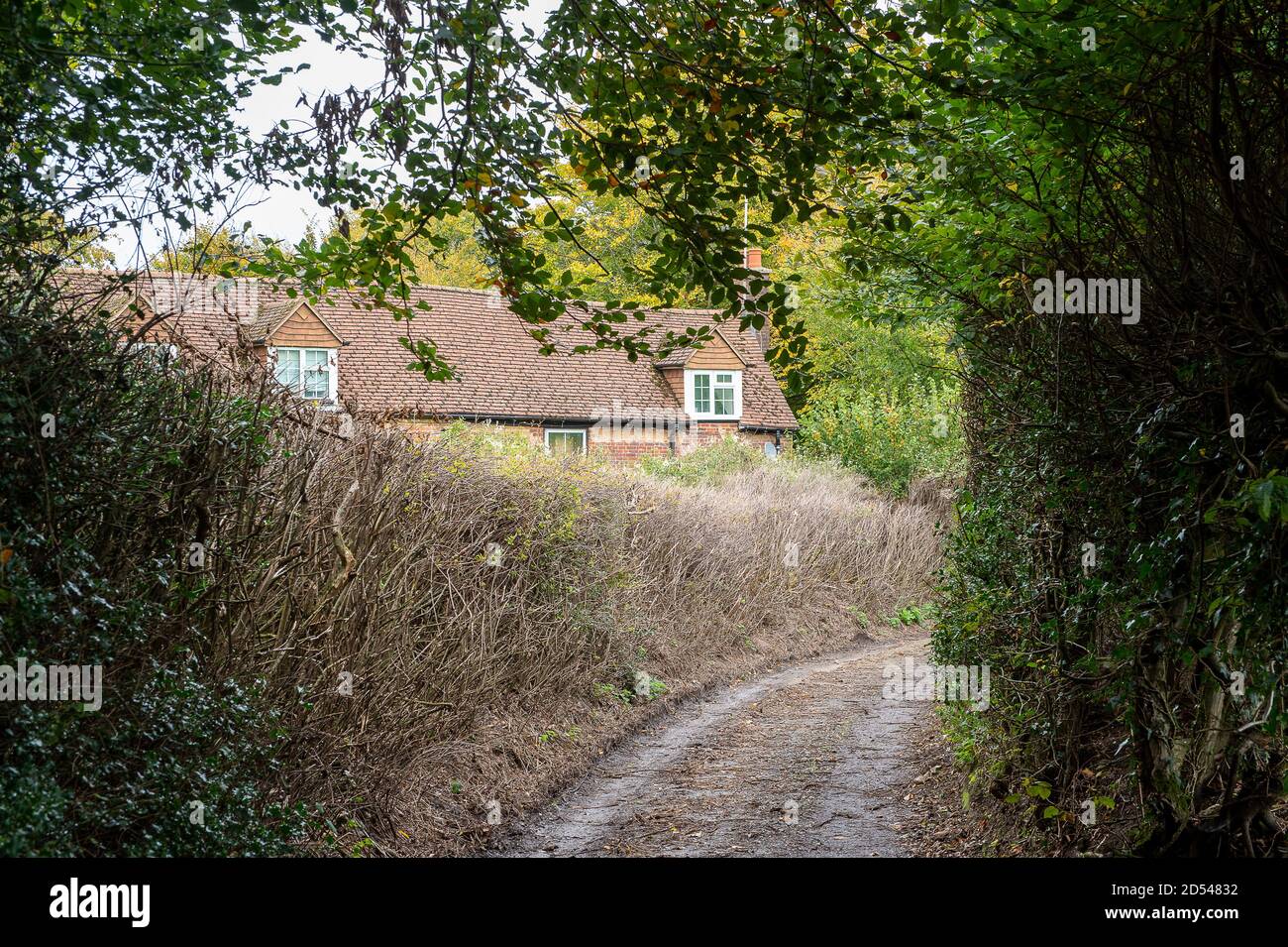 Chalfont St Giles, Buckinghamshire, Royaume-Uni. 12 octobre 2020. La route de campagne endormie passant par ce chalet est maintenant fermée car HS2 effectue des travaux préparatoires pour la construction d'un puits de ventilation qui donnera accès au tunnel Chiltern de 10 km de long une fois qu'il est coupé sous terre. Le train à grande vitesse HS2 de Londres à Birmingham est largement dépassé par le budget et les protestations contre lui se poursuivent le long de la ligne par les militants écologistes en raison de la destruction des terres boisées et des habitats fauniques. Crédit : Maureen McLean/Alay Banque D'Images