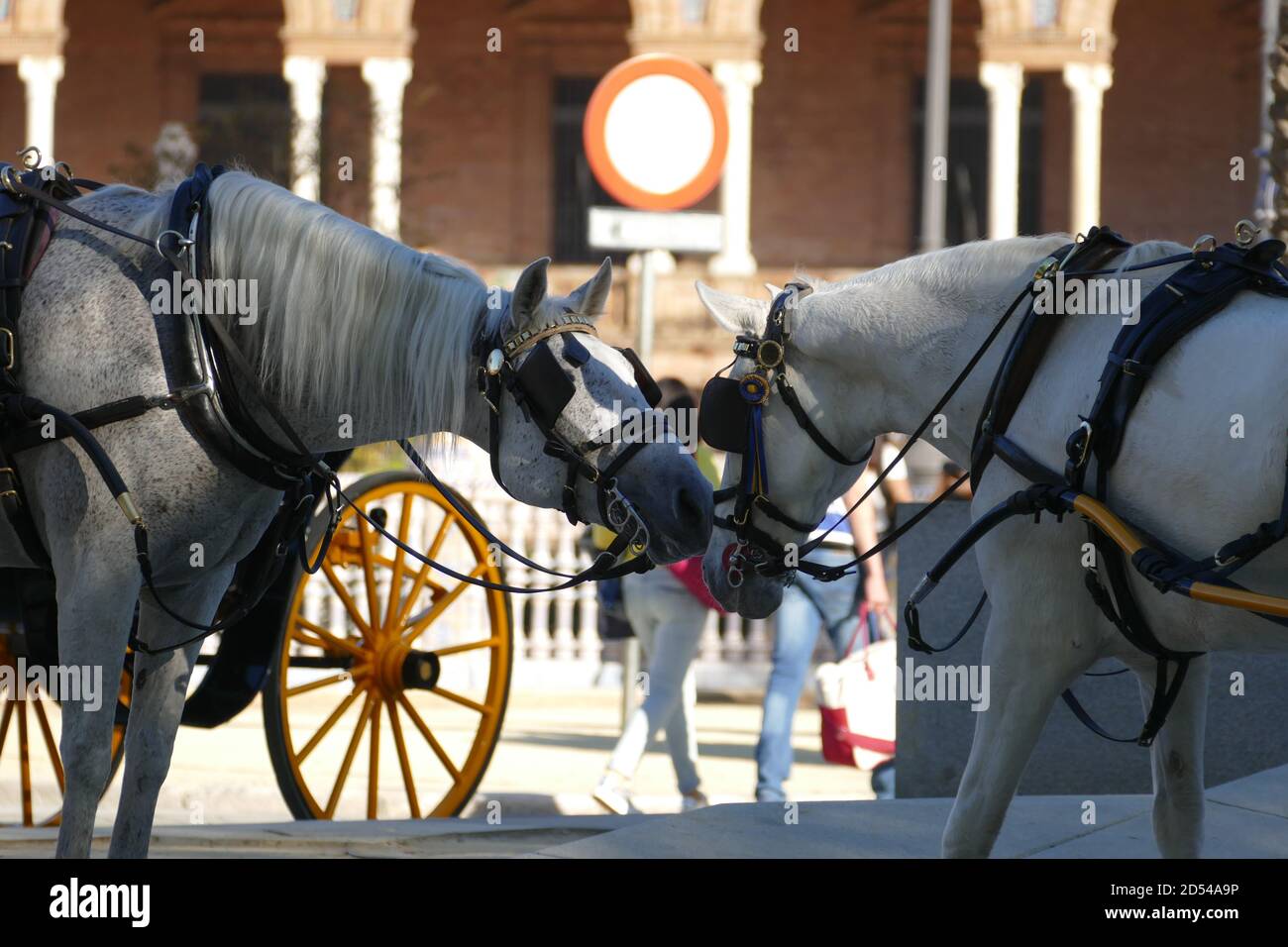 Charrette tirée par des chevaux Banque de photographies et d’images à