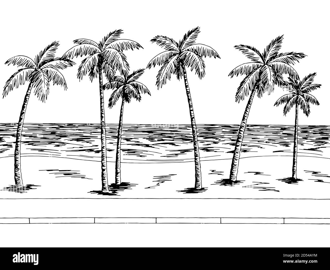 Chemin de mer graphique palmier noir blanc paysage esquisse vecteur d'illustration Illustration de Vecteur
