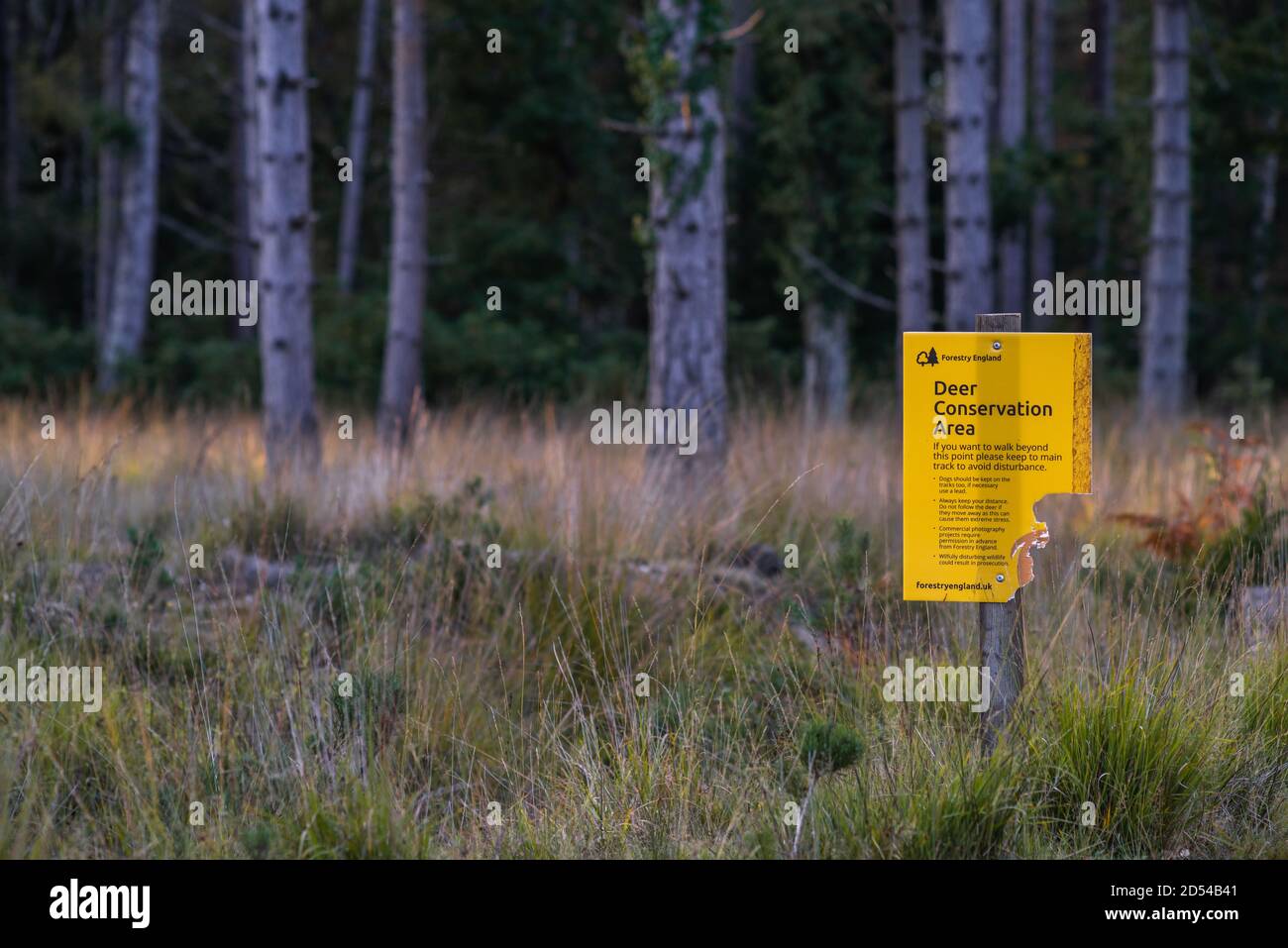 Panneau de la zone de conservation du cerf jaune dans le parc national de New Forest, Hampshire, Angleterre, Royaume-Uni Banque D'Images