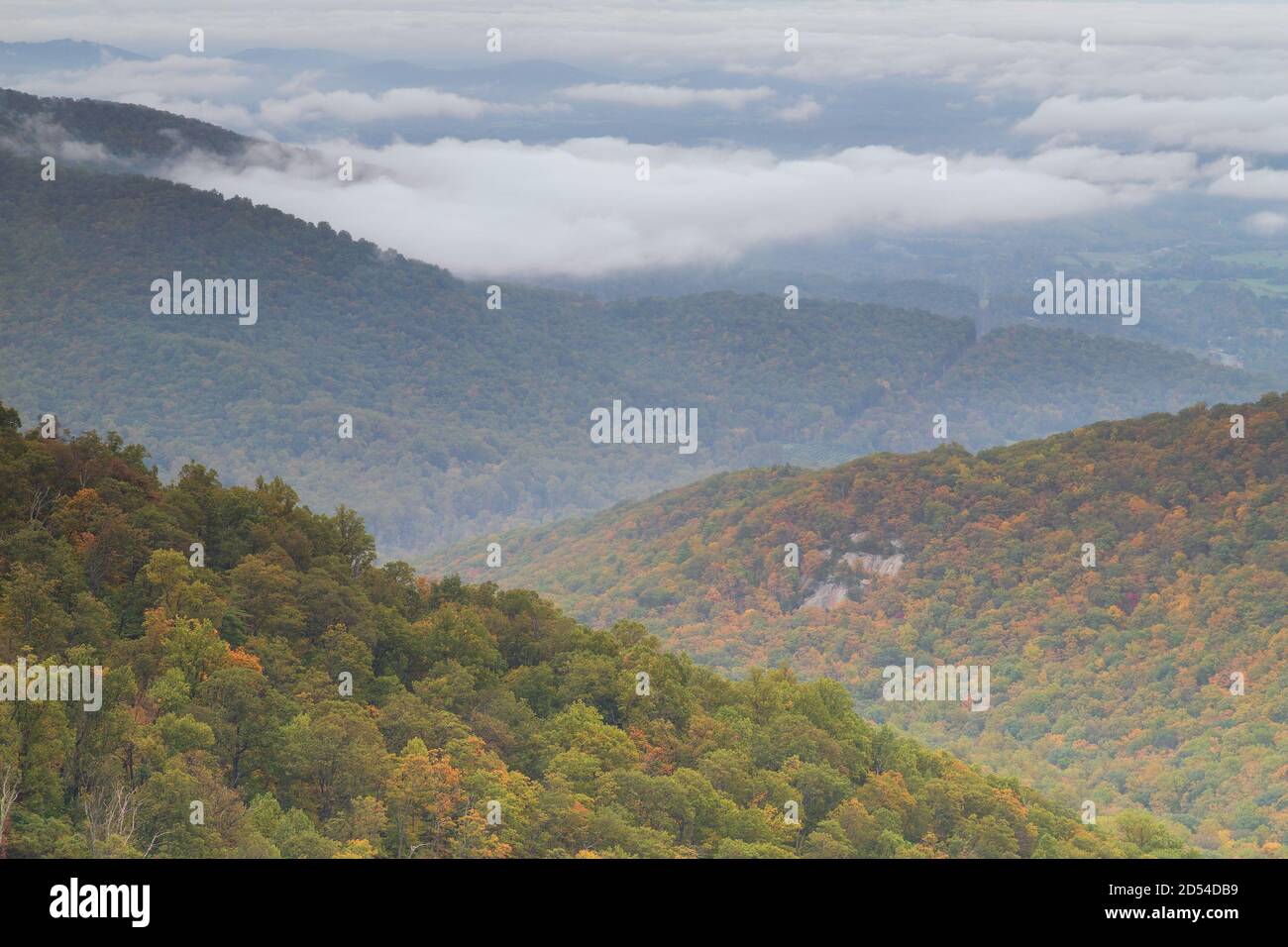 Scène d'automne en regardant vers le bas sur les chaînes de montagnes de la vallée de Shenandoah depuis le parc national de Shenandoah Skyline Drive, États-Unis Banque D'Images