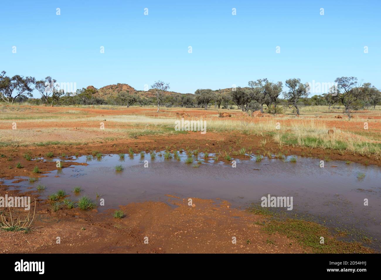 Trou d'eau rétréci dans l'arrière-pays aride près de Boulia, Channel Country, Queensland, Queensland, Queensland, Australie Banque D'Images