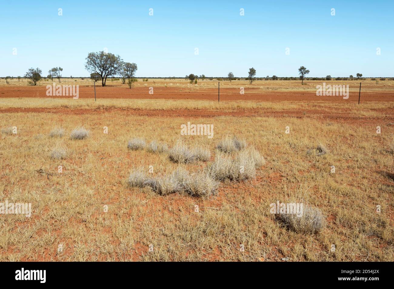 Vue typique de l'arrière-pays australien aride près de Boulia, Queensland, Channel Country, Queensland, Australie Banque D'Images