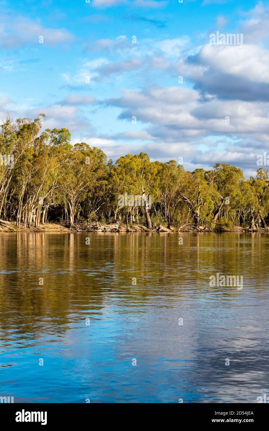 Murray River en Australie Banque D'Images