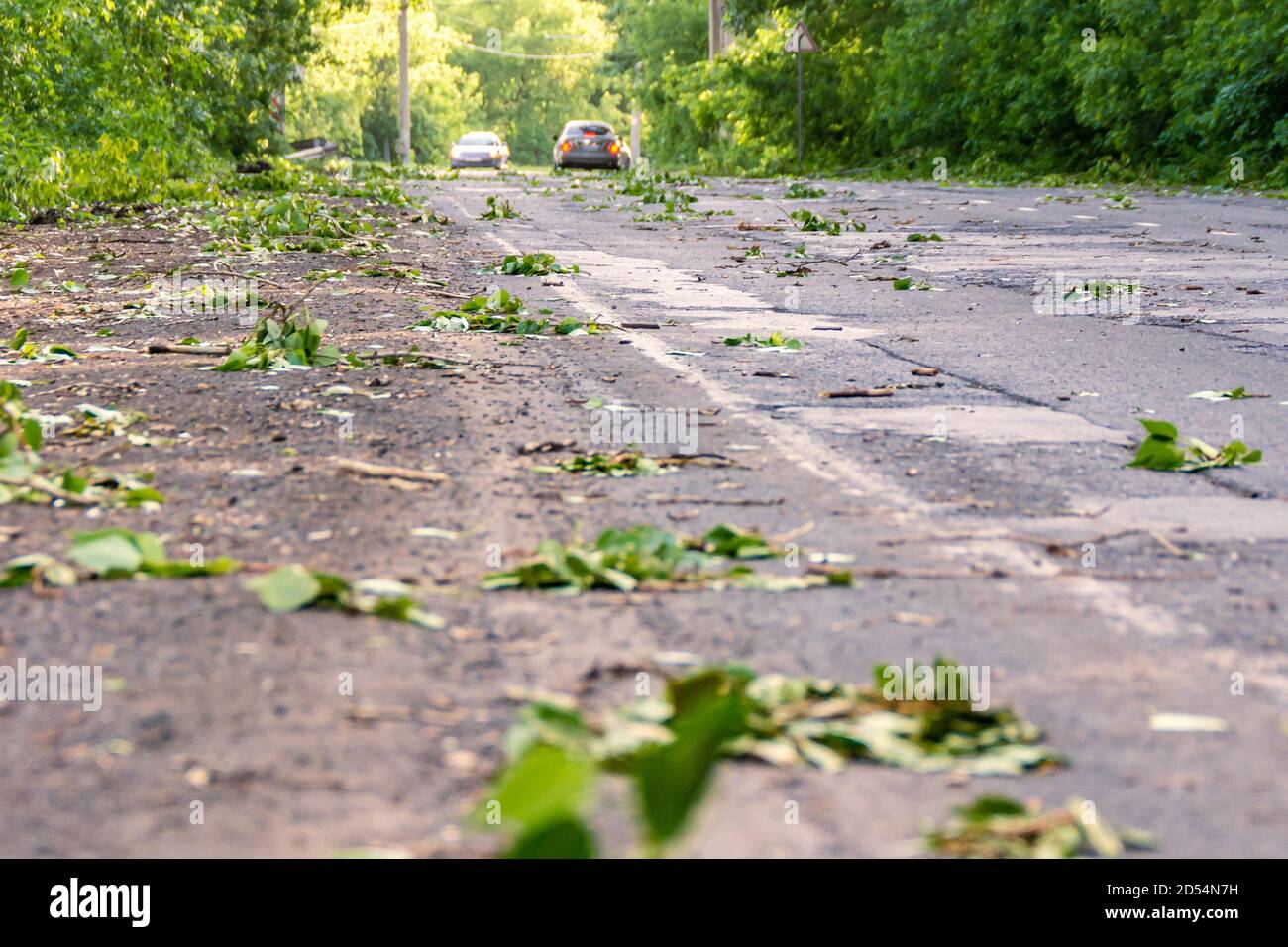 route parsemée de branches et de feuilles après le vent d'ouragan, foyer sélectif Banque D'Images