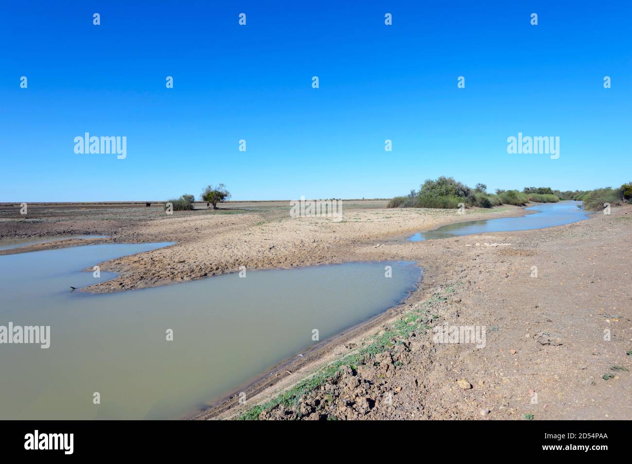 Vue sur la rivière Georgina pendant une sécheresse, pays du canal, près de Bedourie, Queensland, Queensland, Australie Banque D'Images