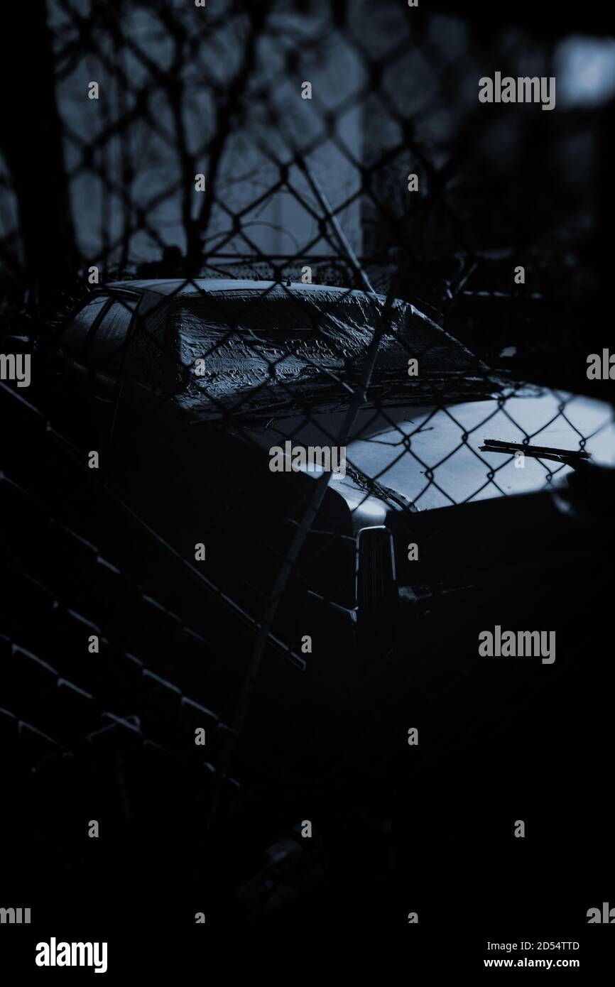 Des ombres de nuit bleu foncé et une voiture épatée derrière le fil dans un jardin de Brooklyn, New York Banque D'Images