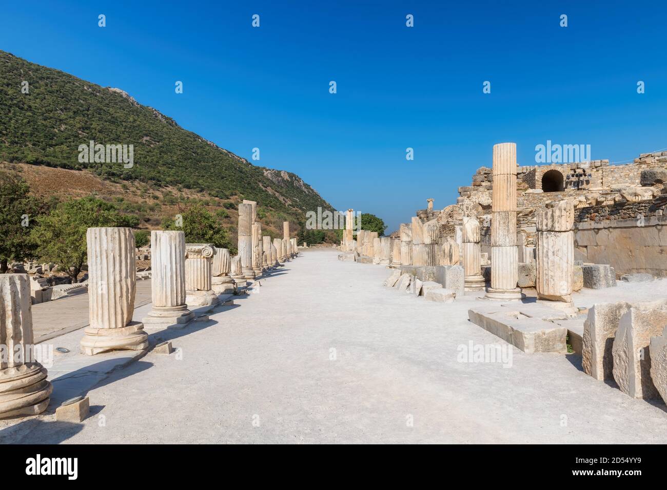 De beaux piliers romains dans les ruines d'Éphèse, Selcuk, Izmir, Turquie Banque D'Images