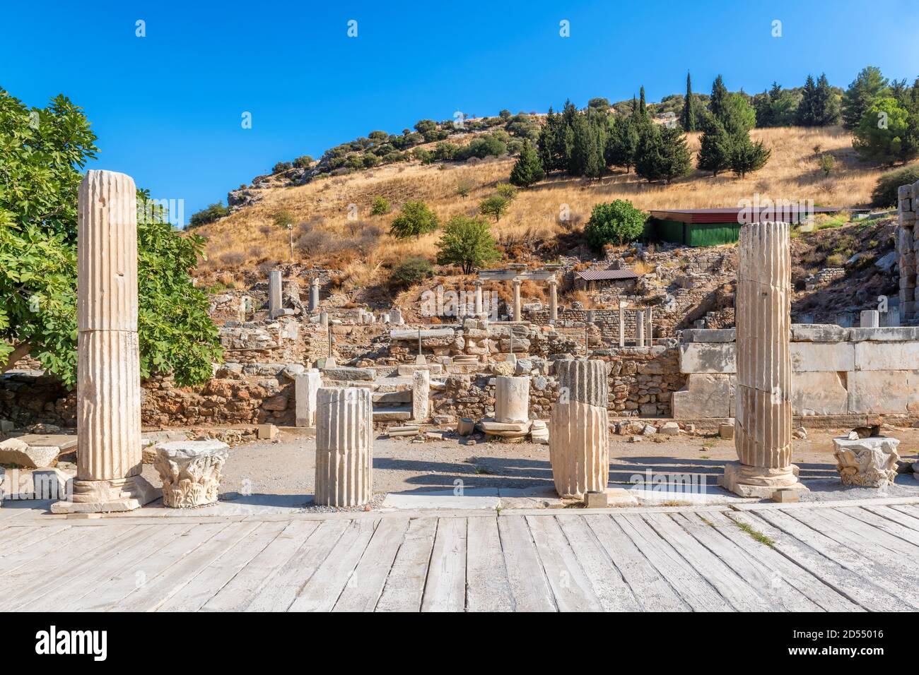 De beaux piliers romains dans les ruines d'Éphèse, Selcuk, Izmir, Turquie Banque D'Images