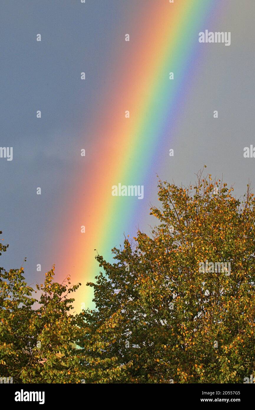 7 octobre 2020, un arc-en-ciel puissant dans le ciel sombre et nuageux au-dessus du Schleswig. La bande lumineuse colorée en forme d'arc est créée lorsque le soleil brille sur un mur de pluie et que la lumière est divisée en couleurs spectrales. | utilisation dans le monde entier Banque D'Images