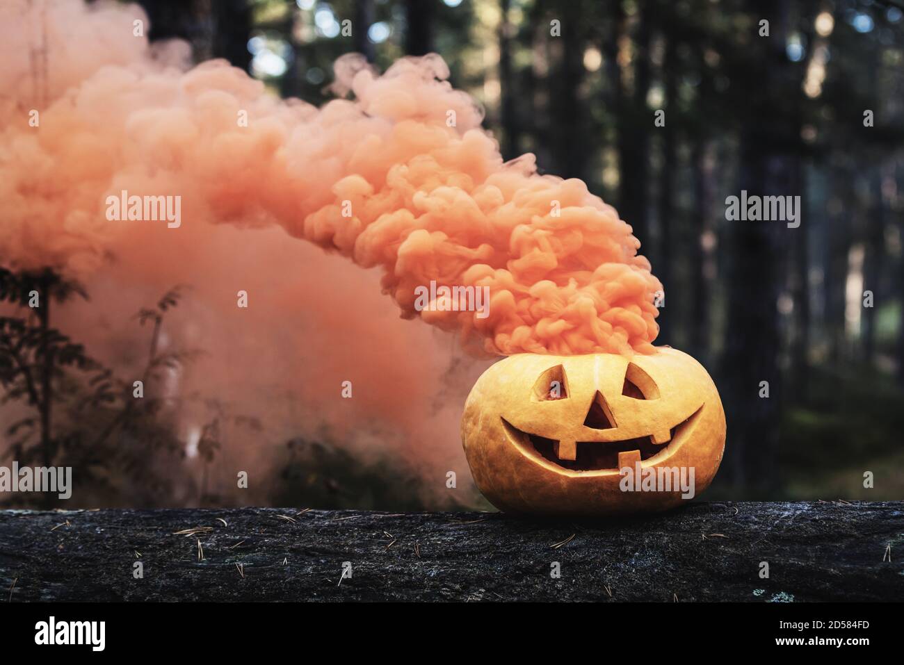 citrouille d'halloween sculptée avec fumée orange sur le tronc de l'arbre forêt Banque D'Images