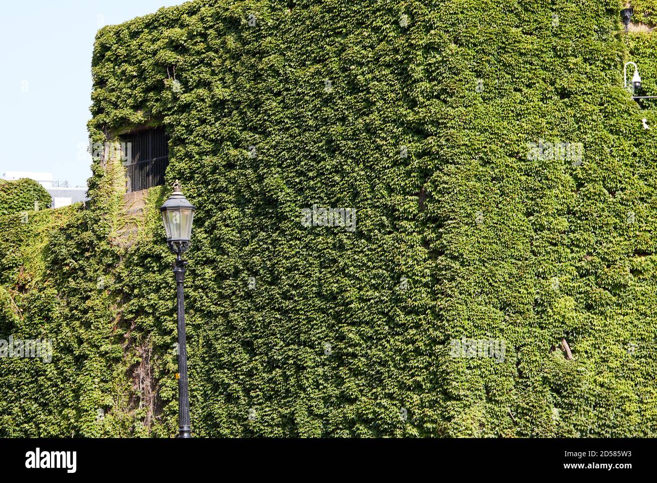 Londres, Royaume-Uni. - 22 septembre 2020 : la Citadelle d'Amirauté en béton recouvert d'ivy à Horse Guards Parade. Le commandement et le contrôle fortement fortifiés et à l'épreuve des bombes f Banque D'Images