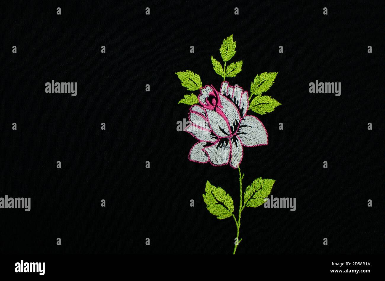 Tissu brodé en machine avec motif fleuri. Broderie de style cachemiri. Prise de vue en studio. Paysage Banque D'Images