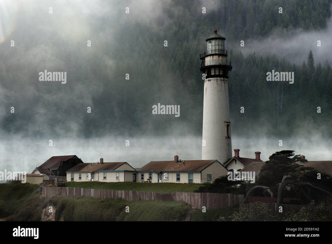 Phare de Pigeon point dans le brouillard, Californie, États-Unis Banque D'Images