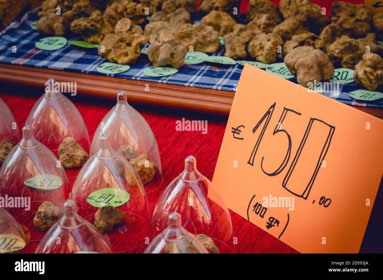 Truffes blanches (Tuber Magnatum Pico) sur un stand de Trader de la Fiera del Tartufo (Foire de la truffe) d'Alba, Piémont (Italie), plus important international Banque D'Images