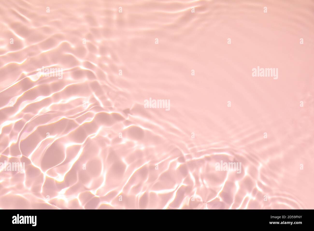 rose transparent eau transparente texture de surface été fond Banque D'Images