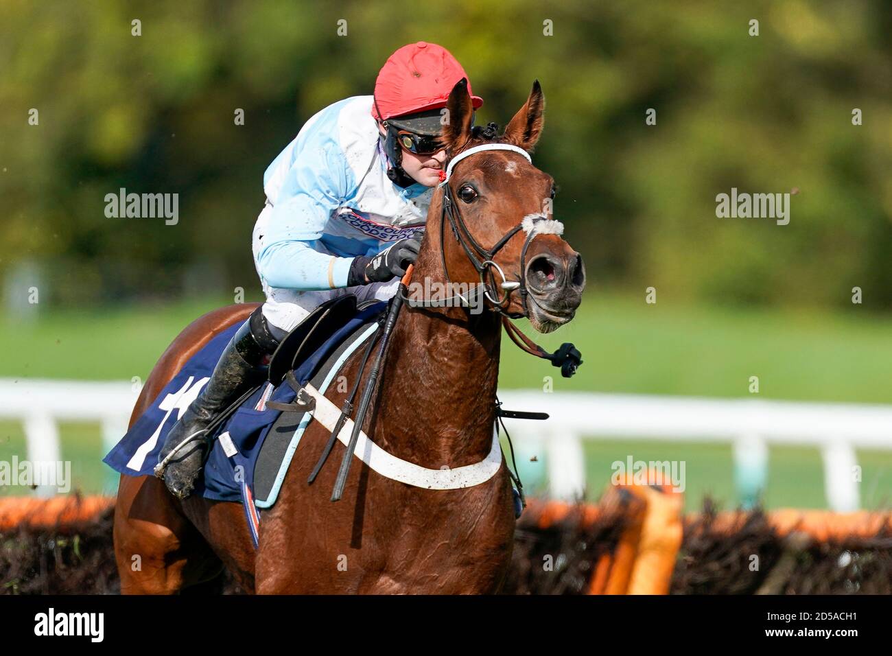 Nico de Boinville à cheval Vegas Blue Clear le dernier à gagner le Bet 10 Get 20 avec MansionBet Maress' Maiden hangdle à l'hippodrome de Huntingdon. Banque D'Images