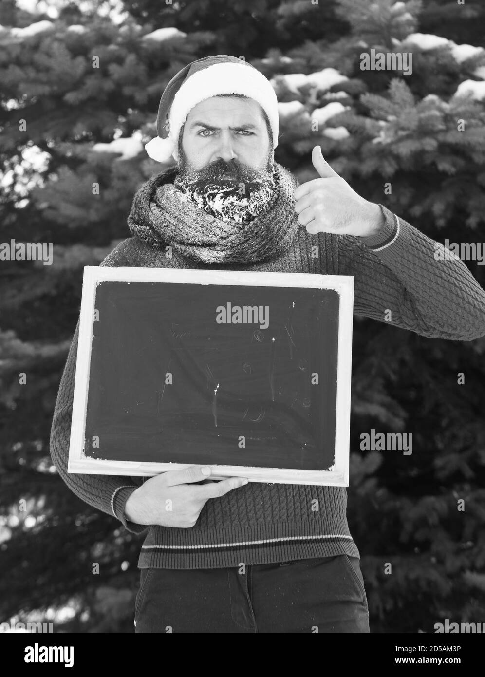 L'homme fronce dans santa claus hat, hipster avec barbe et moustache recouverte de givre, avec tableau noir ou tableau blanc donne Thumbs up geste sur journée d'hiver sur fond naturel, copy space Banque D'Images L'homme fronce dans santa claus hat, hipster avec barbe et moustache recouverte de givre, avec tableau noir ou tableau blanc donne Thumbs up geste sur journée d'hiver sur fond naturel, copy space Banque D'Images