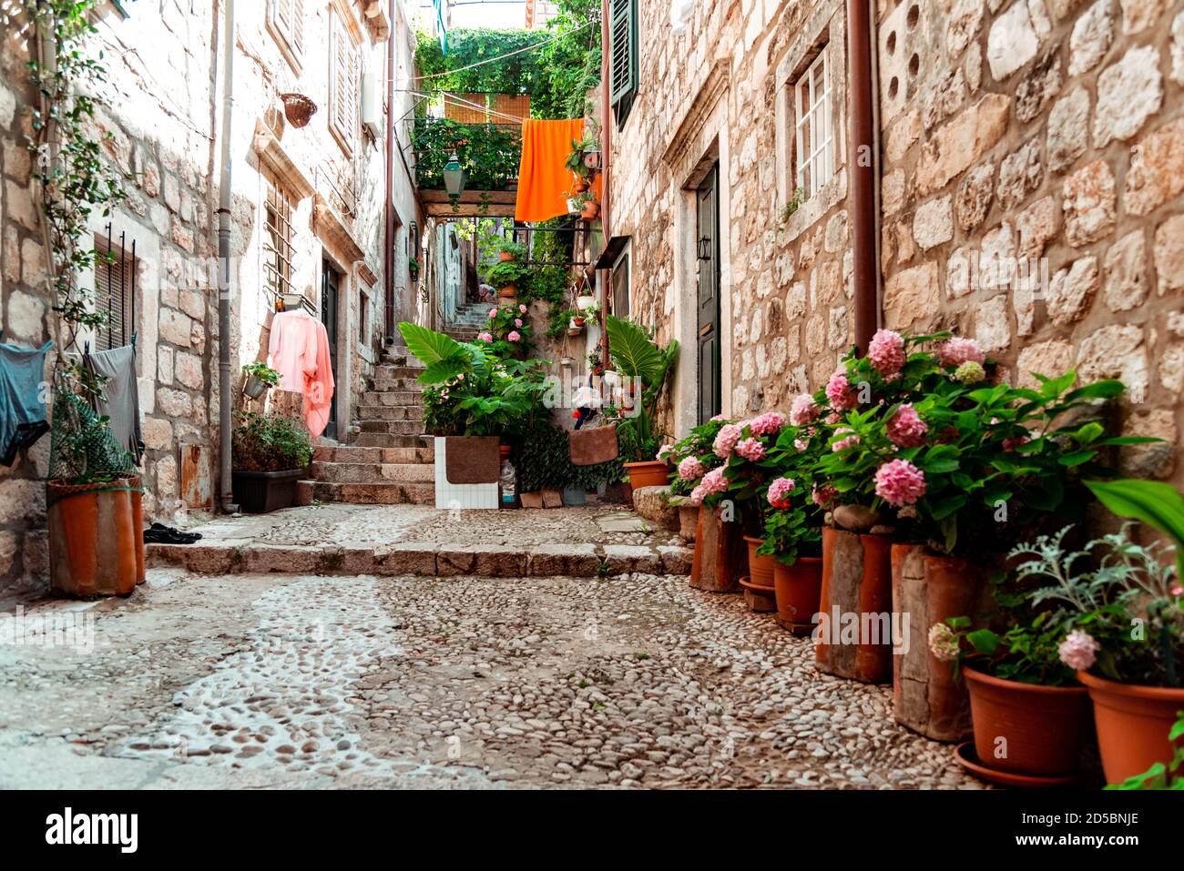 Petites ruelles pleines de fleurs à Dubrovnik, Croatie Banque D'Images