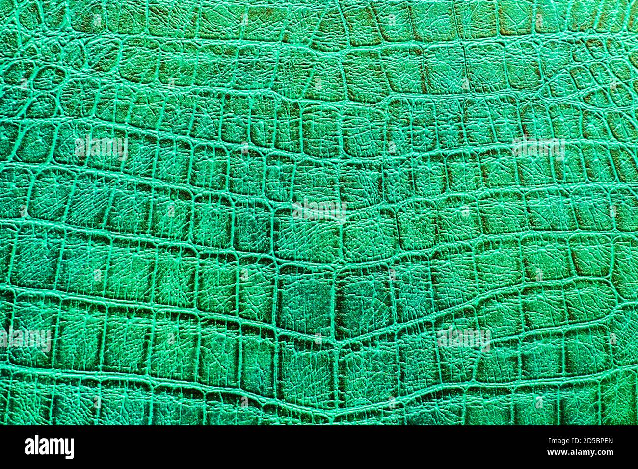 Motif cuir de crocodile sans couture, peau d'animal. La texture de l'alligator. Arrière-plan abstrait texturé Banque D'Images