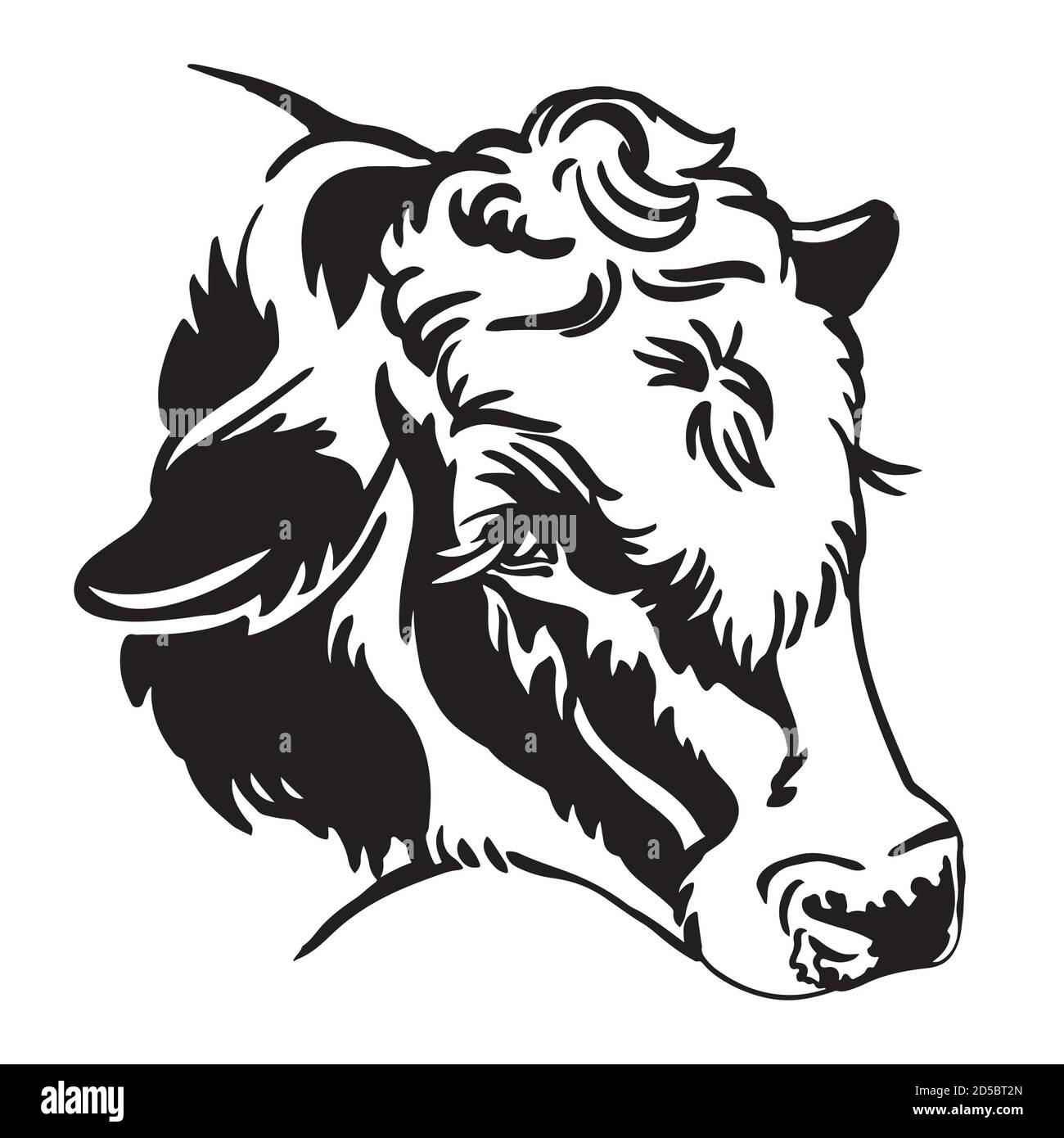 Portrait décoratif de la vache moelleuse portrait illustration vectorielle en noir isolé sur fond blanc. Image de modèle de gravure de taureau pour l'étiquette Illustration de Vecteur