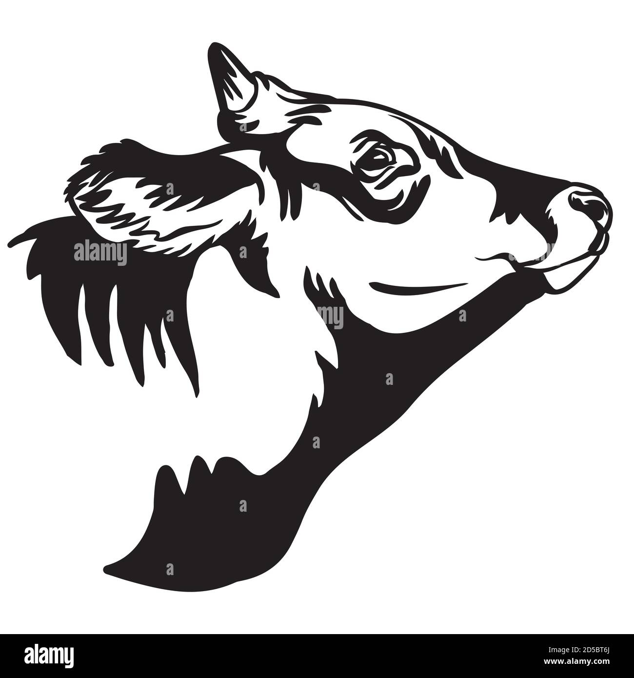 Portrait décoratif de l'illustration vectorielle de taureau à cornes de couleur noire isolée sur fond blanc. Image de modèle de gravure pour étiquette, logo, design, Illustration de Vecteur