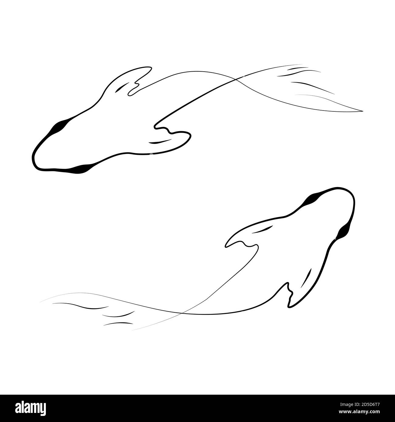 Illustration simple d'encre vectorielle minimaliste koï FISH. Logo vectoriel simple isolé sur fond blanc Illustration de Vecteur
