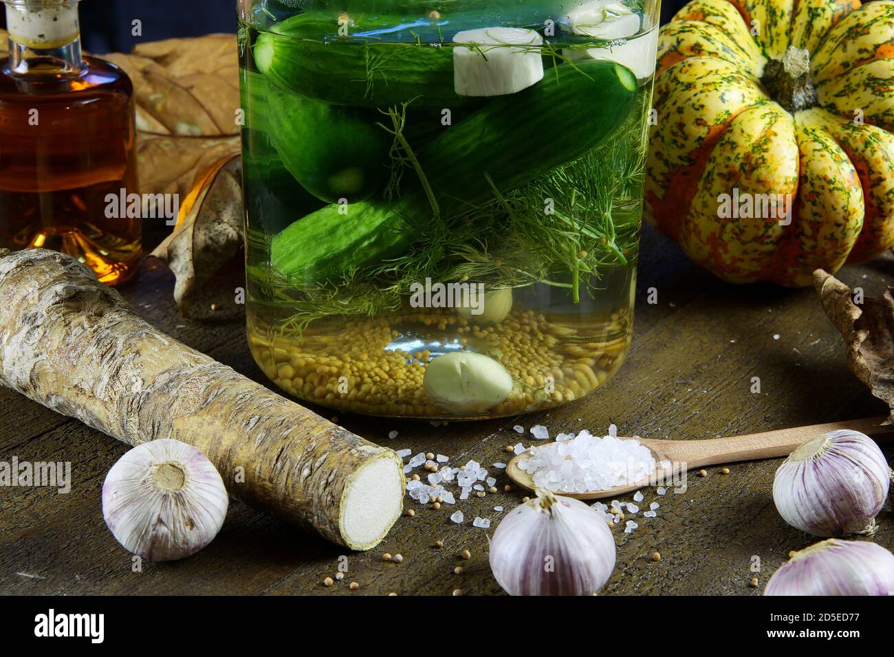 Vue sur le pot de verre avec des concombres marinés, de la saumure de sel, des graines de moutarde, de l'aneth, du raifort et des bulbes d'ail sur une table rustique en bois Banque D'Images