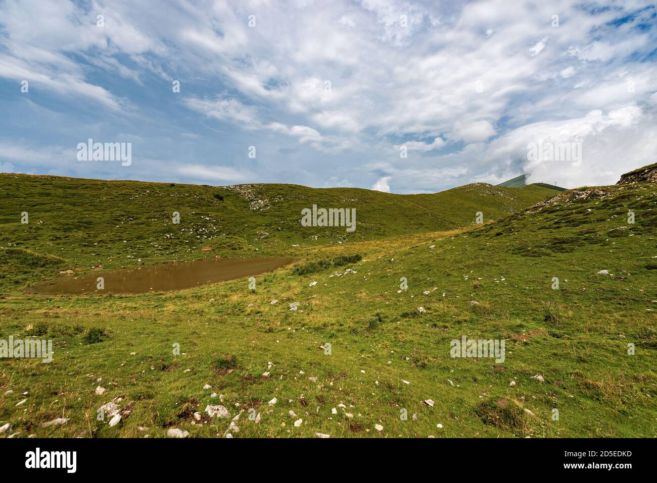 Monte Baldo (montagne Baldo), crête de Naole. Chaîne de montagnes entre le lac de Garde et la vallée de l'Adige. Prés verts et petit étang pour les vaches. Vérone, Italie. Banque D'Images