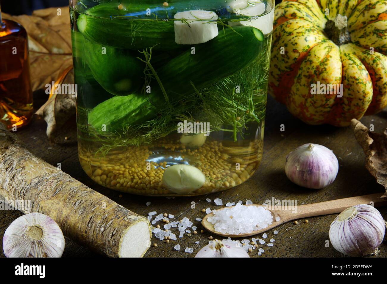 Vue sur le pot de verre avec des concombres marinés, de la saumure de sel, des graines de moutarde, de l'aneth, du raifort et des bulbes d'ail sur une table rustique en bois Banque D'Images