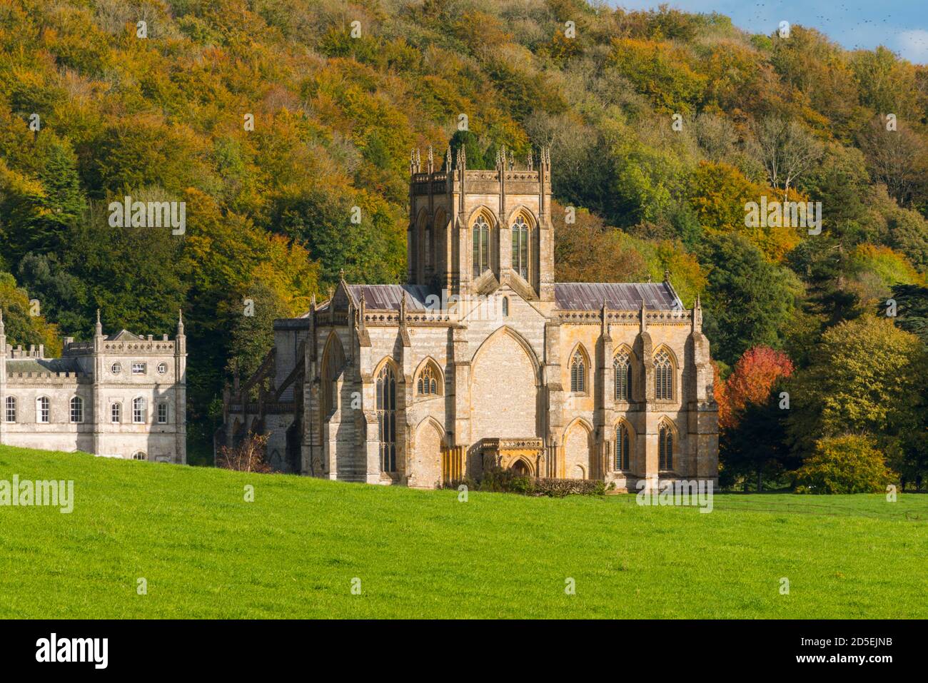 Milton Abbas, Dorset, Royaume-Uni. 13 octobre 2020. Météo Royaume-Uni. Les arbres boisés sont dans leurs couleurs d'automne derrière l'abbaye historique de Milton à Milton Abbas à Dorset, lors d'une après-midi de chaudes périodes ensoleillées. Crédit photo : Graham Hunt/Alamy Live News Banque D'Images
