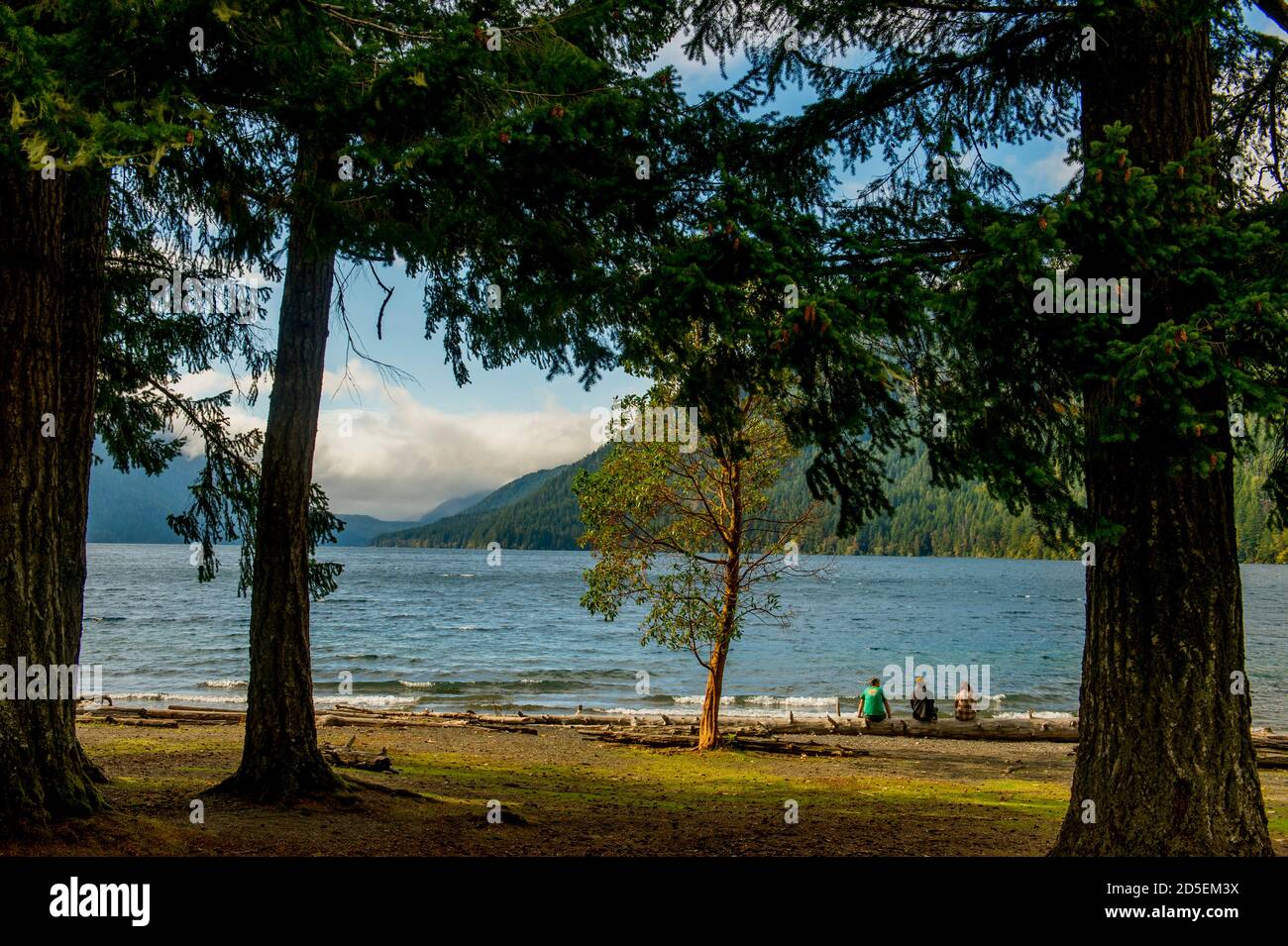 Personnes sur la plage du Lake Crescent Lodge sur la péninsule olympique dans le Parc national olympique de l'État de Washington, Etats-Unis. Banque D'Images