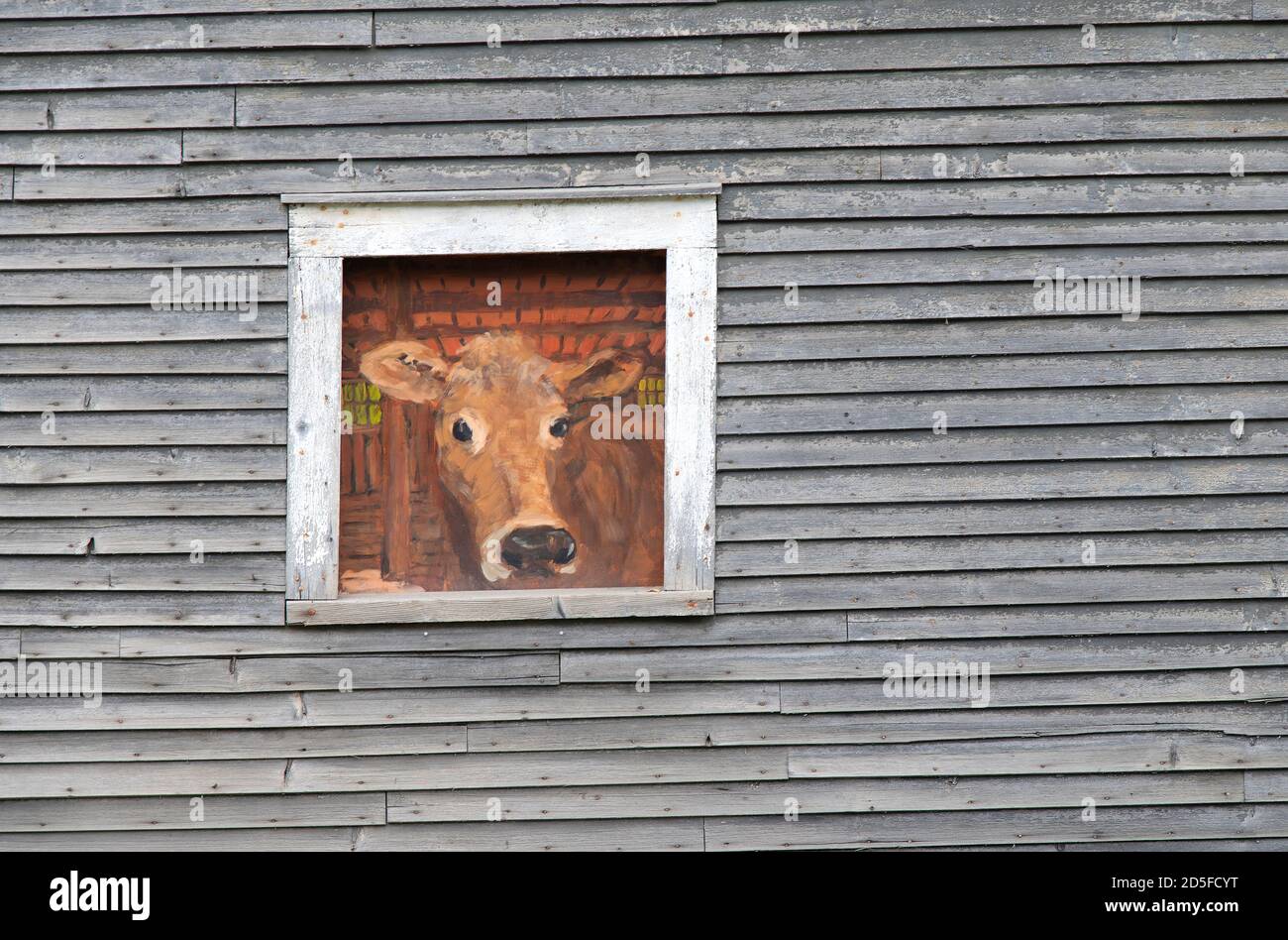 Une peinture sur une fenêtre de grange d'une vache qui regarde le long de RT. 65 à Brookfield, Vermont, États-Unis Banque D'Images
