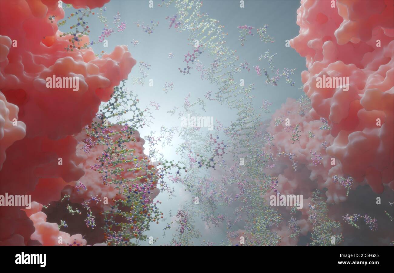 L'ADN, porteur d'instructions génétiques, réside dans le noyau cellulaire où il interagit avec diverses protéines dans divers processus, comme la réplication. Banque D'Images