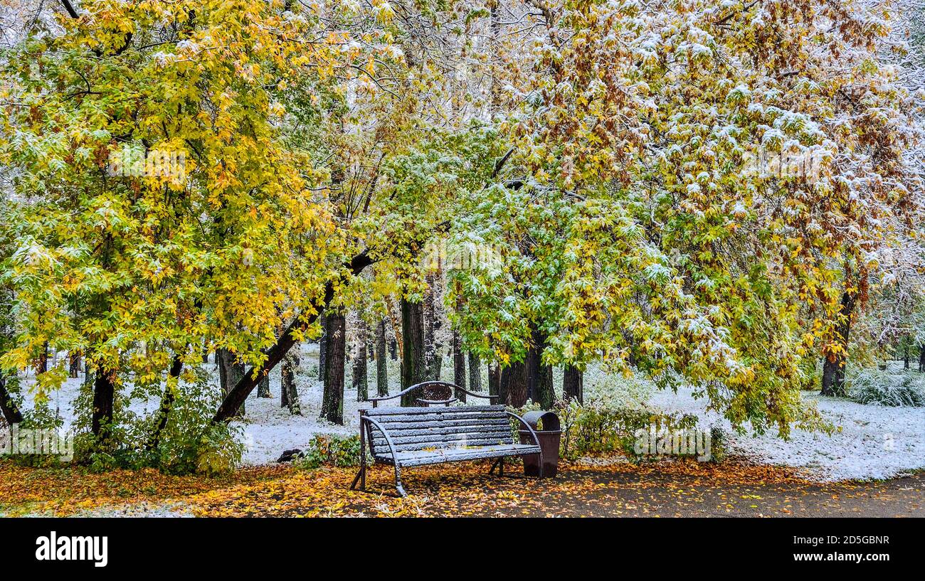 Première chute de neige en automne dans un parc urbain coloré et lumineux. Banc solitaire sur une allée sous les arbres brabches avec une couverture de neige blanche à feuillage doré, vert et orange Banque D'Images