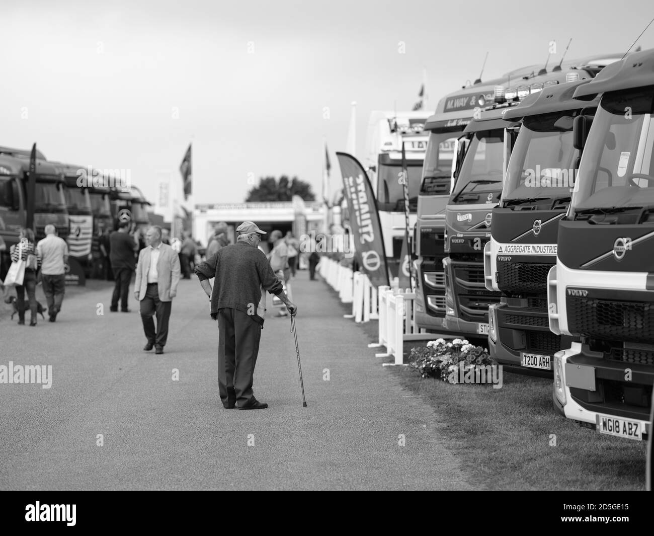 Royal Cornwall Show Wadebridge Cornwall jugeant brebis chiens bétail Banque D'Images