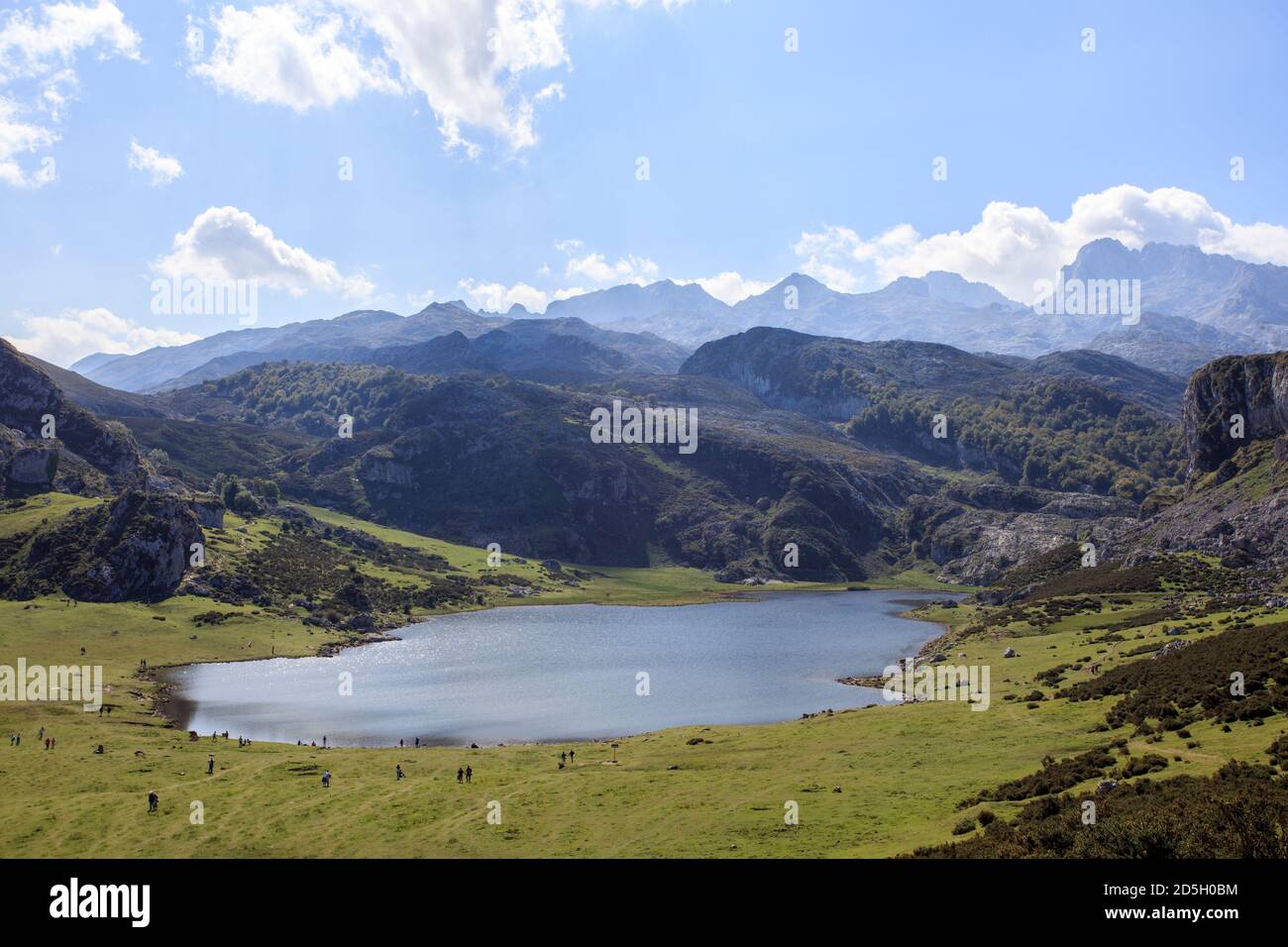 Lac d'Ercina. Lacs de Covadonga. Parc national Picos de Europa. Asturies. Espagne Banque D'Images