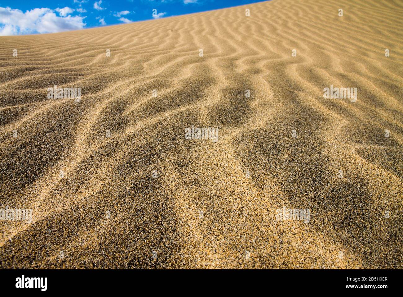 Motif sable à proximité sur une plage d'été Banque D'Images