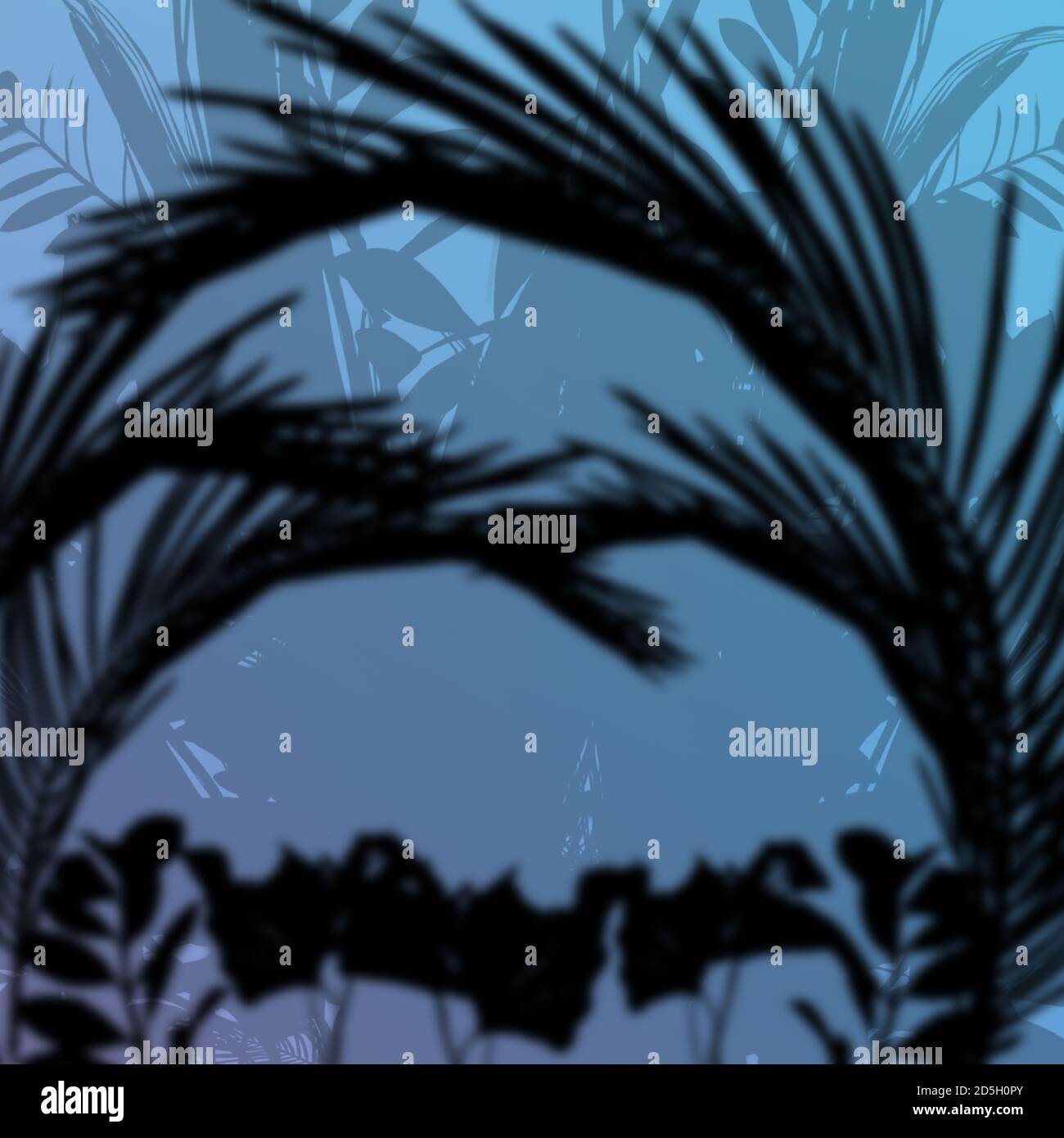 Illustration abstraite de jungles denses des silhouettes d'ombres noires floues avec espace de copie. Le premier plan est flou l'arrière-plan est dans la mise au point de la caméra Banque D'Images