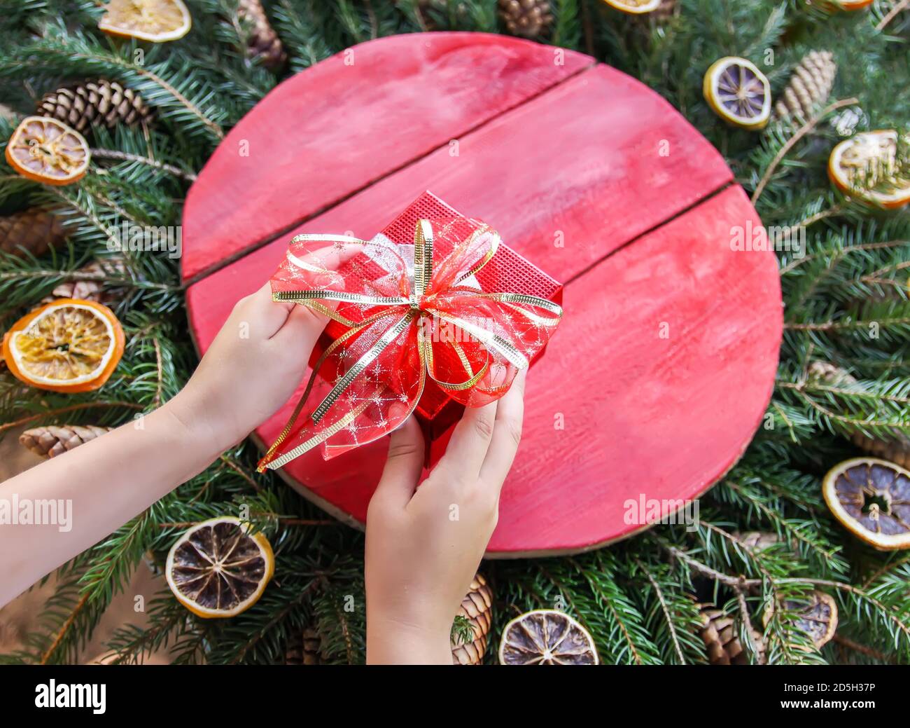 Les mains des petites filles tiennent la boîte cadeau de Noël rouge pendant l'hiver décor fond avec texture en bois et branches de pickly vert sapin avec sec o Banque D'Images