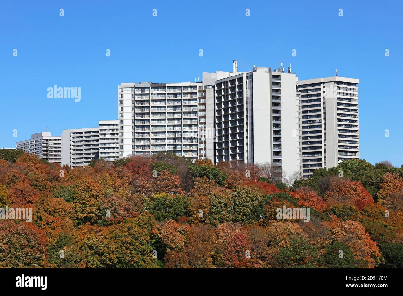 Grands immeubles d'appartements entourés d'arbres aux couleurs de l'automne Banque D'Images